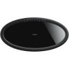 imageYamaha Audio MusicCast 50 Wireless Speaker for Streaming Music Compatible with Alexa BlackBlack